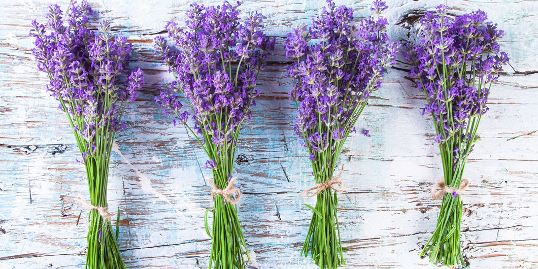 Dried Lavender Stems With Flowers - 100 Stems -18 Inches Long - Home Decor,  Crafts, Weddings Etc